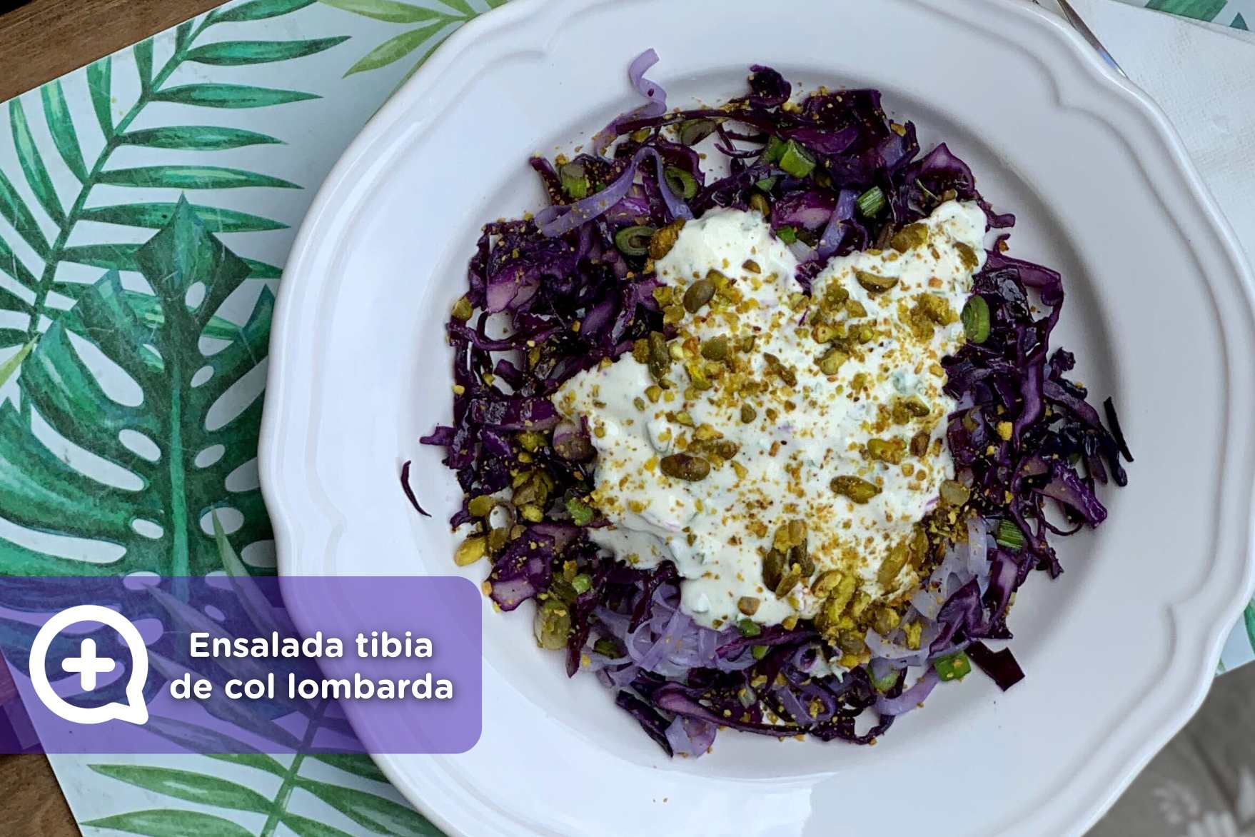 Receta Ensalada Tibia De Col Lombarda Y Ajos Tiernos Mediquo