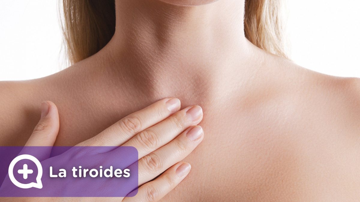 Todo sobre la tiroides