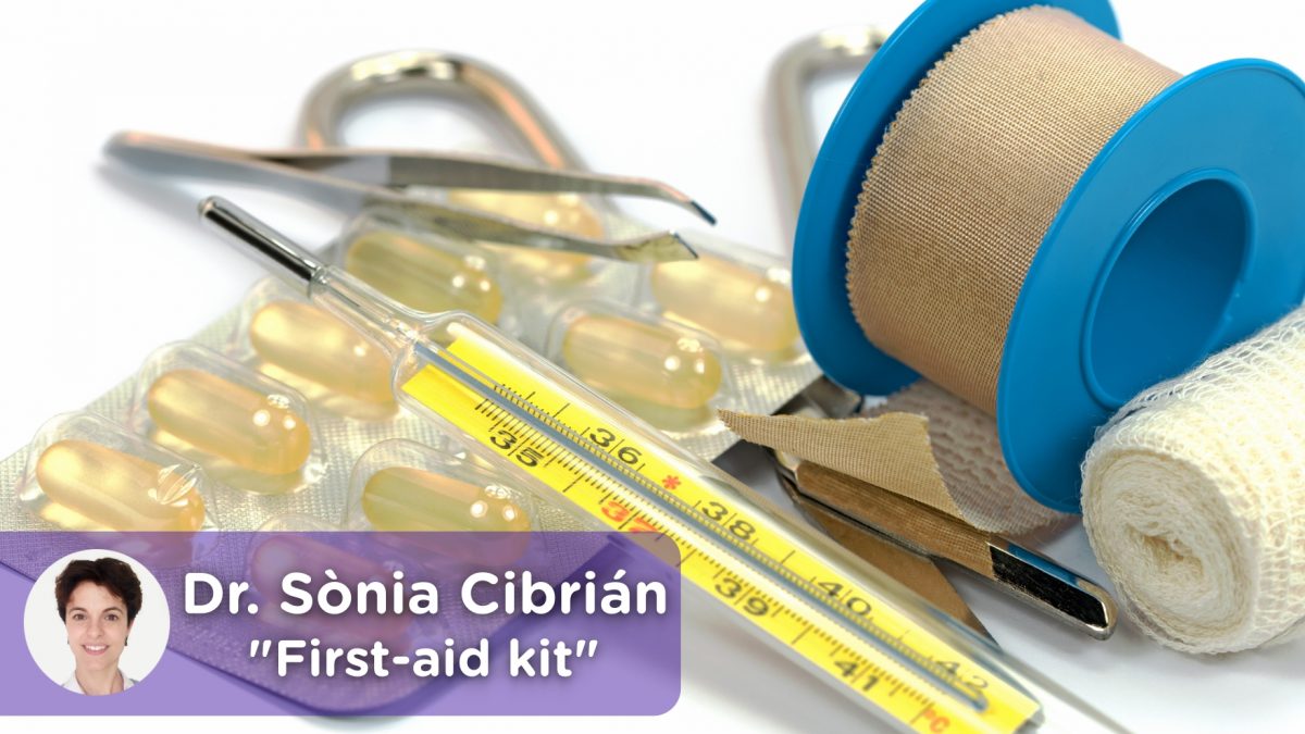 First-aid kit, analgesics, antipyretics, thermometer, tape, pills, emergency kit, scissors.