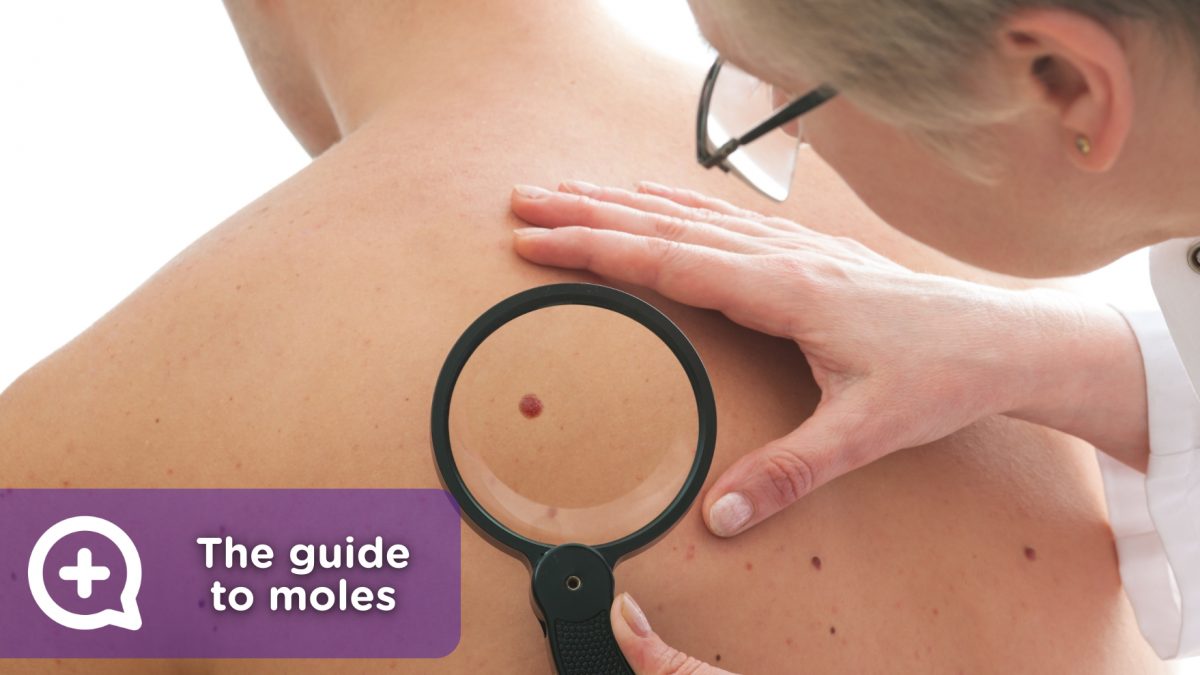 Moles, the definitive guide to recognize them, control them and treat them.