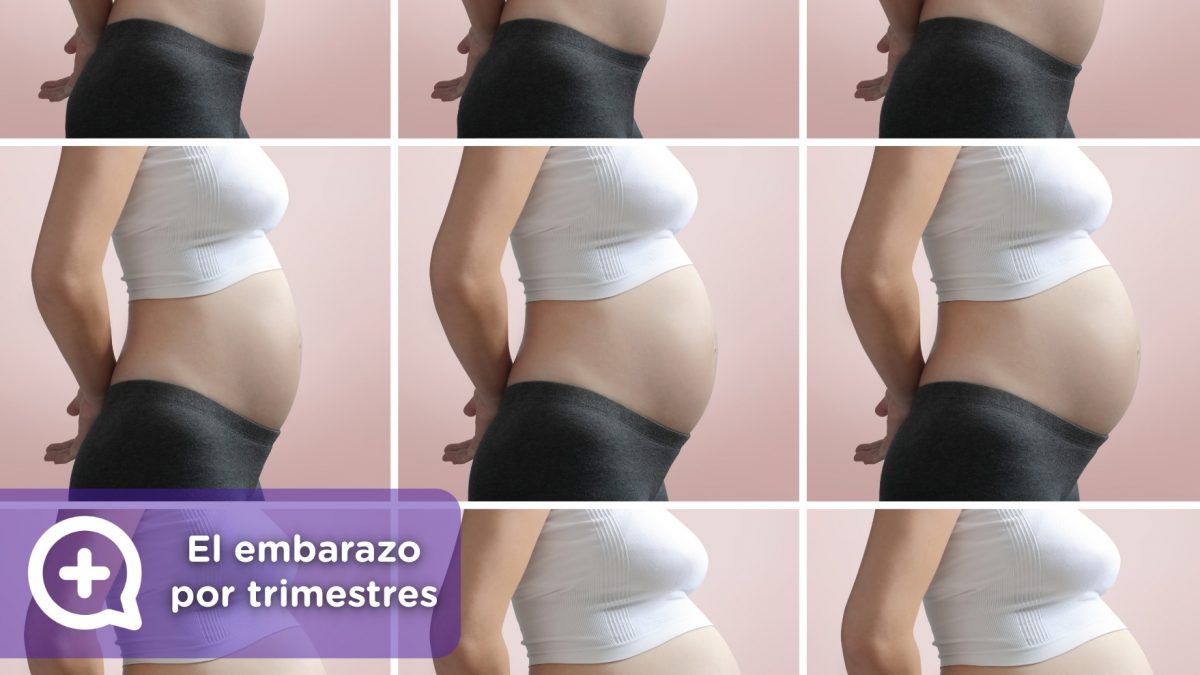 Sintomas da gravidez por trimestre - mediQuo
