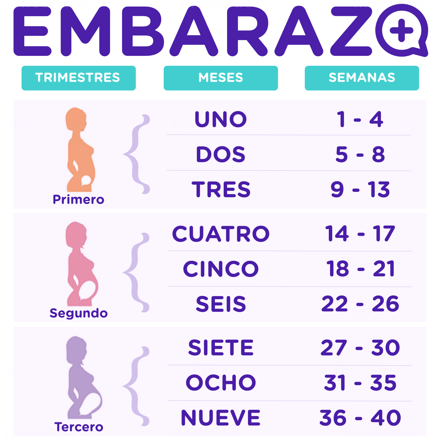 Supuestos En Los Que El Sexo No Est Recomendado Durante El Embarazo 