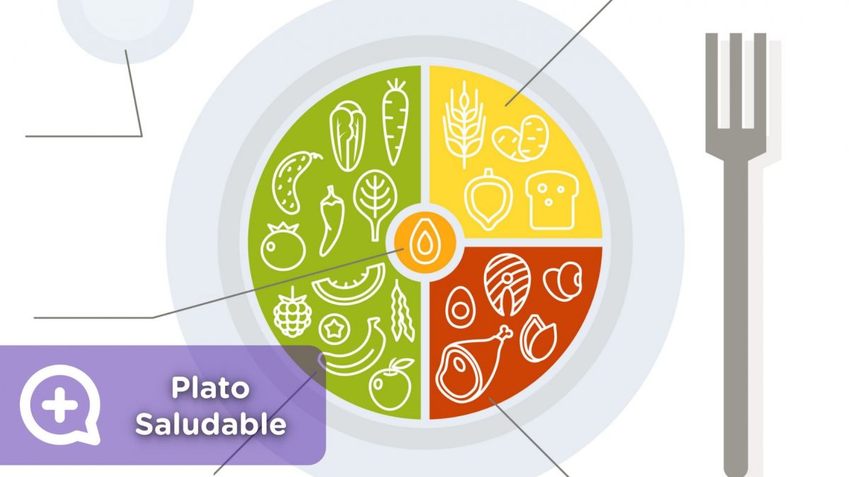 Plato saludable, mediquo, proteínas, hidratos de carbono, verduras, frutas, agua, grasas saludables.
