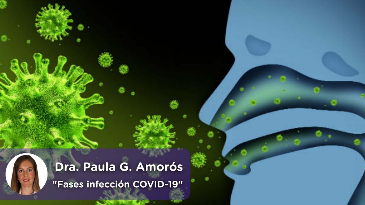 Coronavirus, covid19, fases, infección, virus, mediquo, Paula García Amorós, salud, telemedicina, app.