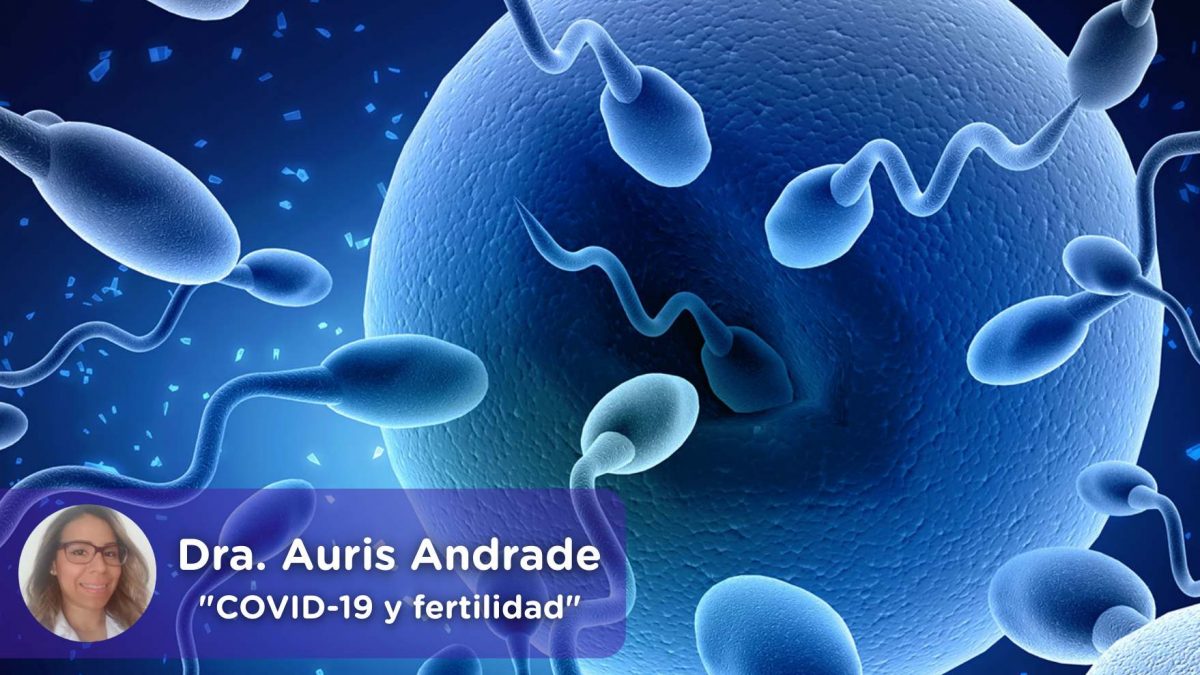 fertilidad, covid19, covid, coronavirus, embarazo, ginecología, telemedicina, app, salud, mediquo, auris andrade