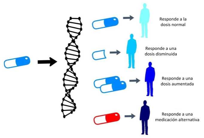 Farmacogen Tica Qu Es Y Cu L Es Su Objetivo Y Ventajas Mediquo